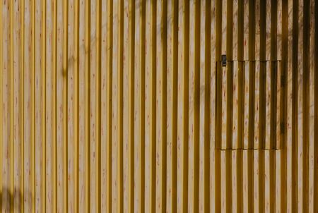 yellow wooden background texture wall with palm sahade  - Imageの写真素材