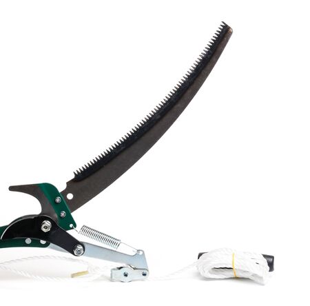 tree lopper isolated on white background- Imageの写真素材