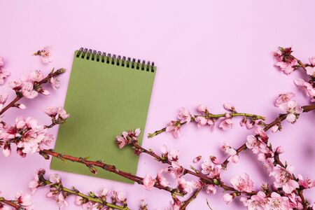 mock up notebook and sprigs of the apricot tree with flowers on pastel colour background. Place for text. The concept of spring came, happy easter, mother's day.Top view.Flay lay. Copy space.の写真素材