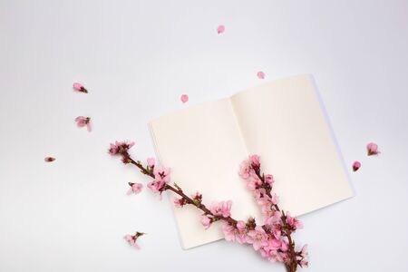 mock up notebook and sprigs of the apricot tree with flowers on white background . Place for text. The concept of spring came, happy easter, mother's day.Top view.Flay lay. Copy space.の写真素材
