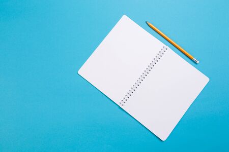 Creative flat lay photo of workspace desk. Top view office desk with open mock up notebooks and...