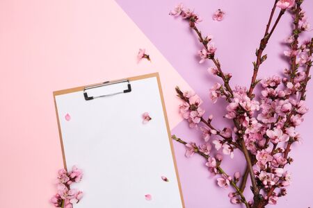 mock up notebook and sprigs of the apricot tree with flowers on pastel colour background. Place for text. The concept of spring came, happy easter, mother's day.Top view.Flay lay. Copy space.の写真素材