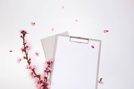 mock up notebook and sprigs of the apricot tree with flowers on white background . Place for text....