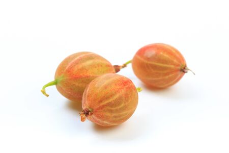 gooseberry isolated  on white background - Imageの写真素材