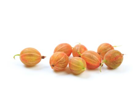 gooseberry isolated  on white background - Imageの写真素材