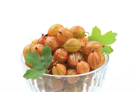 gooseberry isolated  on white background - Imageの写真素材