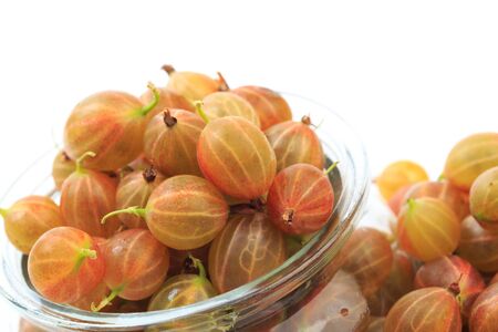 gooseberry isolated  on white background - Imageの写真素材