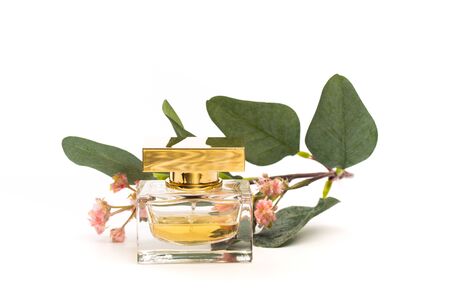 perfume bottle isolated on white background - Imageの写真素材