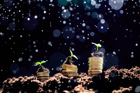 Coins in soil with young plant. Money growth concept.の写真素材