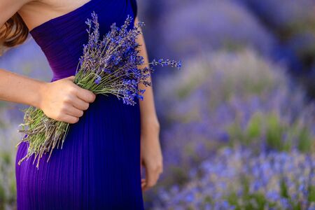 Beautiful girl on the lavender field. Beautiful woman in the lavender field on sunset. - Imageの写真素材