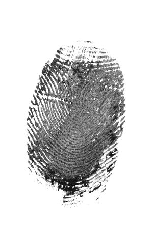 fingerprint pattern isolated on whiteの写真素材
