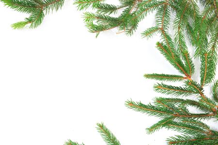 Branches of fir tree on white background isolated - Image の写真素材