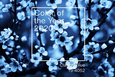 flowers, beautiful floral background in blue color. Web banner, greeting card idea. Concept color of...