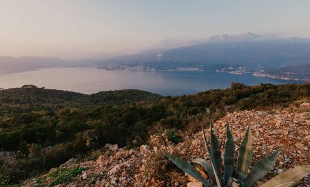 Sunset beautiful panoramic view of bay near Tivat, Montenegro.
old agaveの写真素材
