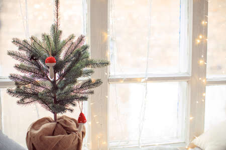 blurred background of window and christmas treeの写真素材