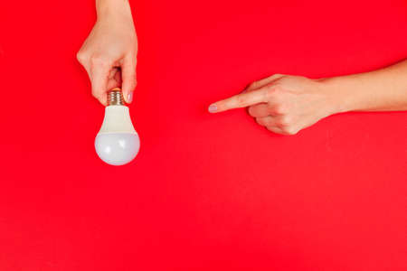 Beautiful young woman's hands holding bulb   on pastel  background.  - Imageの写真素材