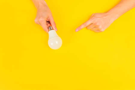 Beautiful young woman's hands holding bulb   on pastel  background.  - Imageの写真素材