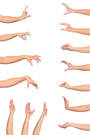 set of   female  hands   isolated on white backgroundの写真素材