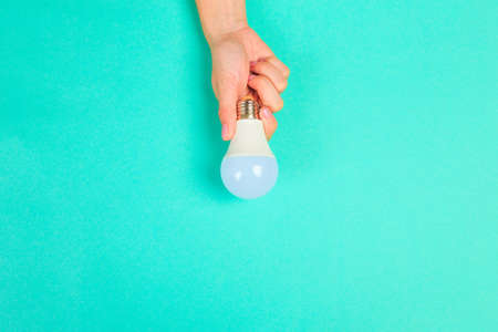 Beautiful young woman's hands holding bulb   on pastel  background.  - Imageの写真素材