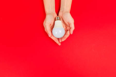 Beautiful young woman's hands holding bulb   on pastel  background.  - Imageの写真素材