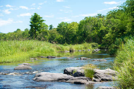 river stream of water