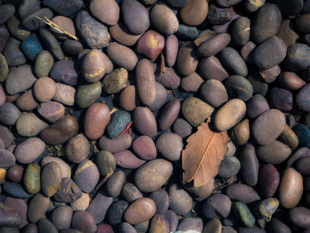 Color pebble stone in backgroundの写真素材