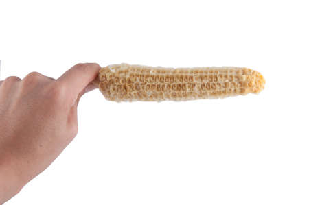 boiled corn isolated on white backgroundの写真素材