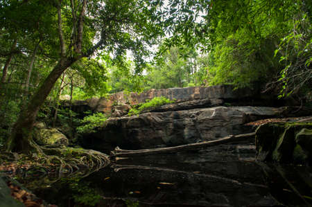 Stream in the tropical forest,Thailandの写真素材