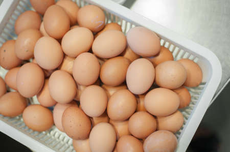 Egg, Chicken Egg in white plastic basket