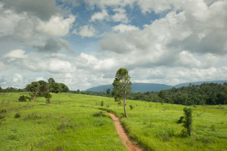Green meadow under blue sky with clouds,Landscape field and skyの写真素材