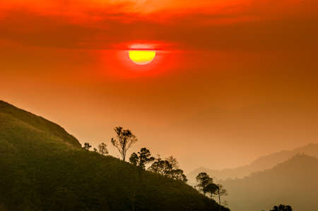 Sunset in mountains,Tree silhouette with scenic sunset sun over colorful sky background.の写真素材
