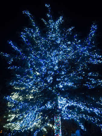 Illumination at Nabana no Sato,Japanの写真素材
