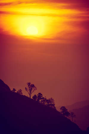 Sunset in mountains,Tree silhouette with scenic sunset sun over colorful sky background.の写真素材
