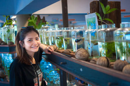 A young woman traveler watching a Fighting Fish in Bottles  at Siamese Fighting Fish Gallery ,Thailandの写真素材