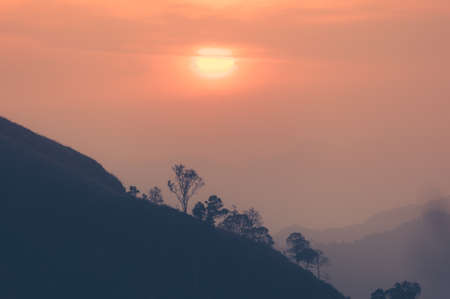 Sunset in mountains,Tree silhouette with scenic sunset sun over colorful sky background.の写真素材