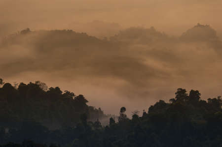 Mountain Mist,Beautiful landscape in the mountains at sunrise,Thailand