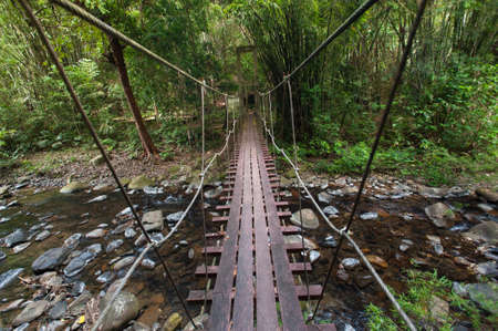 nature trail,path with wooden bridge in deep forest (National Park, Thailan)