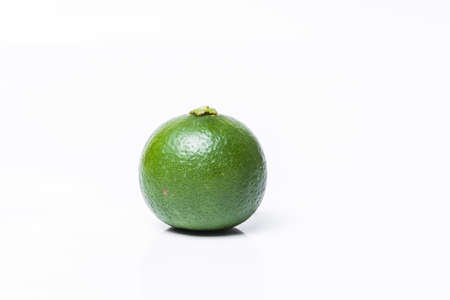 Lime. Fresh fruit  on white background.の写真素材