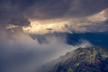 Tropical Rainforest in doi inthanon national park the morning light landscape view (Rainforest), Thailandの写真素材
