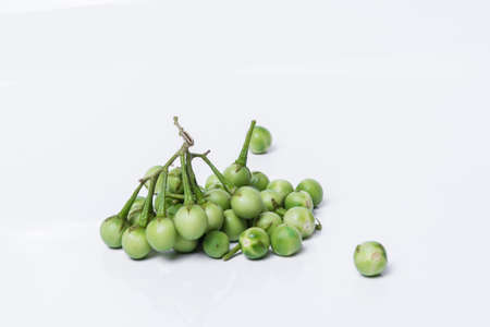 Turkey berry (Solanum torvum Sw.) on white background.(selective focus photograph), Asian vegetables commonly used to grow food.の写真素材