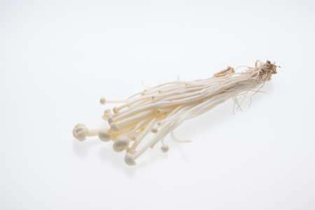 Golden needle mushroom on white background
