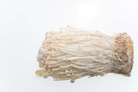Golden needle mushroom on white backgroundの写真素材