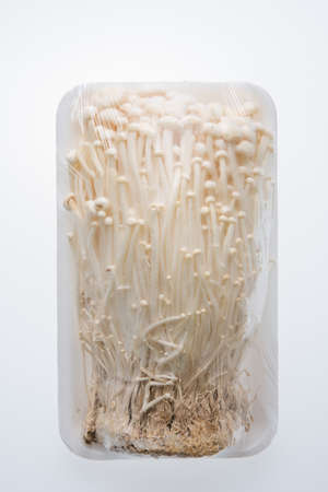 Golden needle mushroom on white backgroundの写真素材