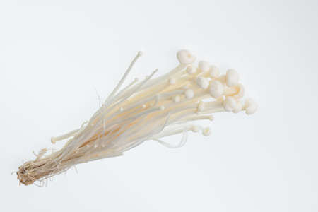Golden needle mushroom on white backgroundの写真素材