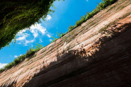 ant's eyes view from underground,cross section of green grass and underground soil layers...