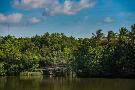 Landscape with the river and green vegetation of trees and plants .の写真素材