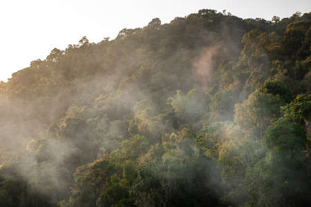 Maekampong View , Ban Mae Kampong village is surrounded by area hill evergreen forest in Chiang Mai,...