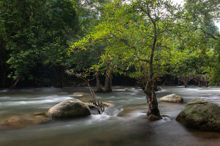 Photo of landscape in forest, forest waterfall and rocks in nature of Thailand
