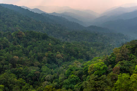 Tropical forest with mountains and majestic orange sky and clouds. Camping site at Maewong National...