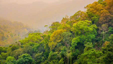 Tropical forest with mountains and majestic orange sky and clouds. Camping site at Maewong National Park, Nakhonsawan, Thailand.の写真素材